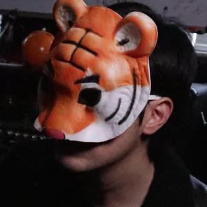 91福利视频免费
