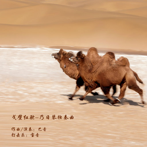 91福利视频免费
